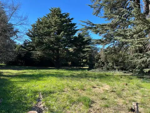 Terreno en Venta 23  mts Frente