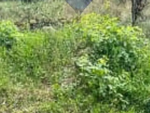 Lote isleño en Dique Luján listo para construir