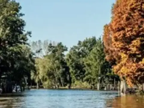 Lote isleño en Dique Luján listo para construir