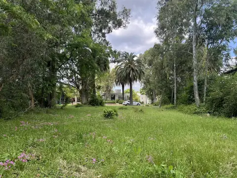 Terreno en Venta 51  mts Fondo