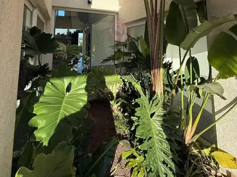 Chile, La lonja, Pilar 800