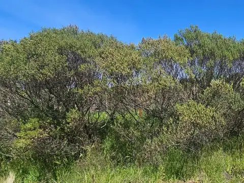 Terreno en Venta en El Marquesado, USD 8.000