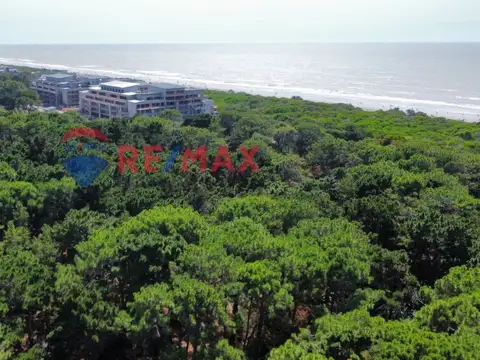 Las Camelias y Avenida 6 100