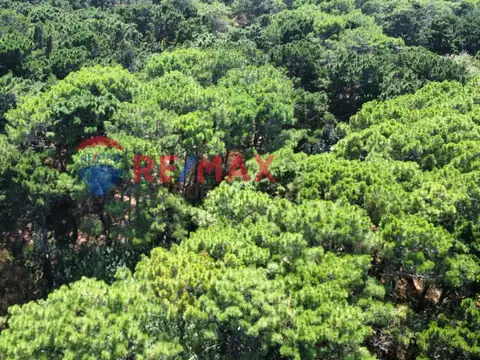 Terreno en Venta de 711,0 m2