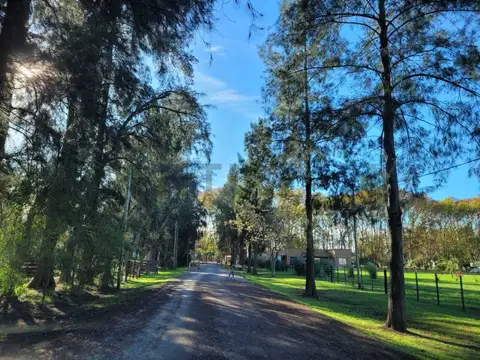 VENTA – CHACRA 242 – MALVINAS I, BRANDSEN