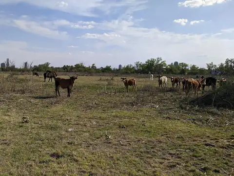 Terreno en la isla- Embudo - ideal propiedades