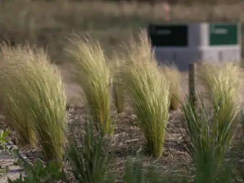 Terreno en Venta en Pinamar, USD 150.000