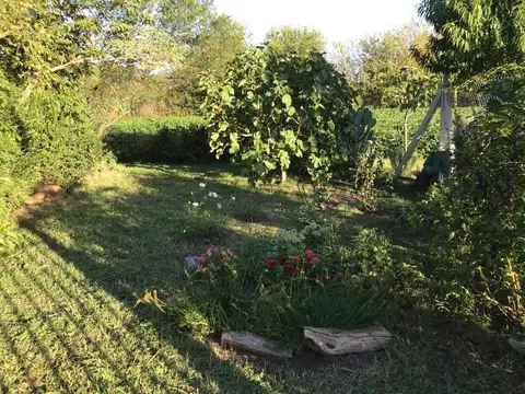 CAMPO EN VIRREY DEL PINO