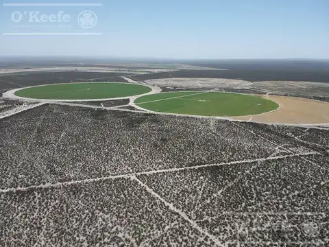 Campo en venta 137 has en Zapata