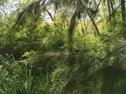 Terreno en Venta 198  mts Frente