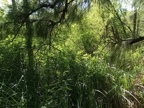 Terreno en Venta 388  mts Fondo