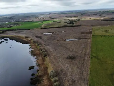 CHACRA VENTA 86 HECTAREAS GENERAL MADARIAGA