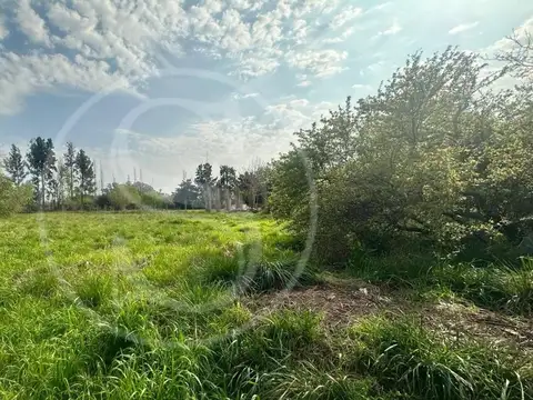 Terreno en Venta de 2960,0 m2