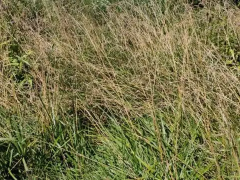 Terreno en Venta de 300,0 m2