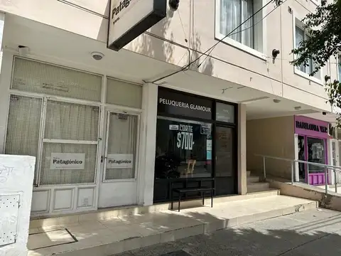 SENADOR ALMENDRA 300