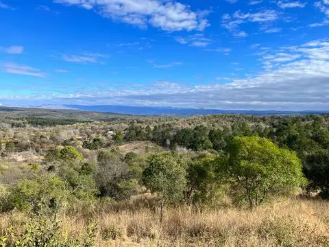 Terreno en Venta de 2542,0 m2