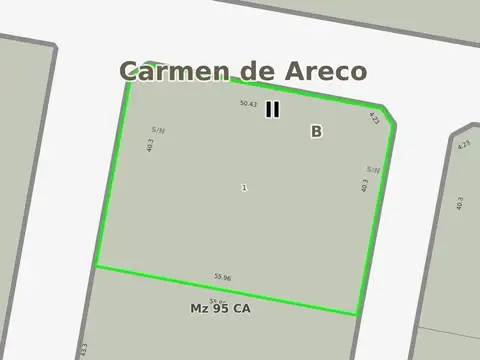 Terreno en venta - 2.424Mts2 - Carmen de Areco