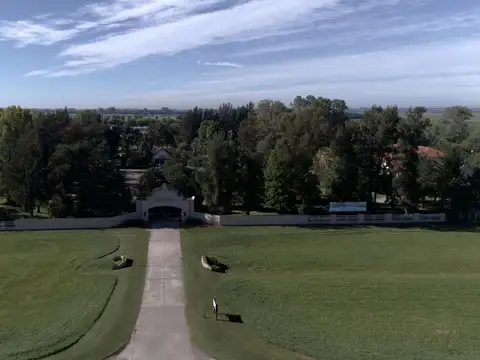 ¡Sumérgete en el apasionante mundo de La Federala, donde tus sueños cobrarán vida como nunca antes! Federala Ruta 205 Km 105