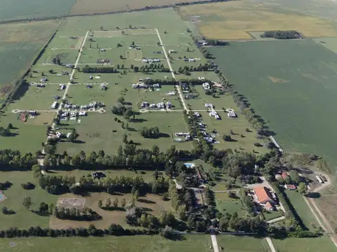 ¡Sumérgete en el apasionante mundo de La Federala, donde tus sueños cobrarán vida como nunca antes! Federala Ruta 205 Km 105