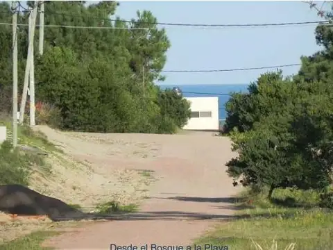 Bosque de la Viuda Solar 3