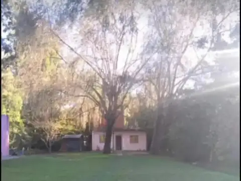 Santa Cruz e/ Don Quijote y Raccone