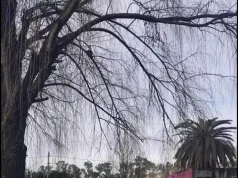 Terreno en Venta de 500,0 m2