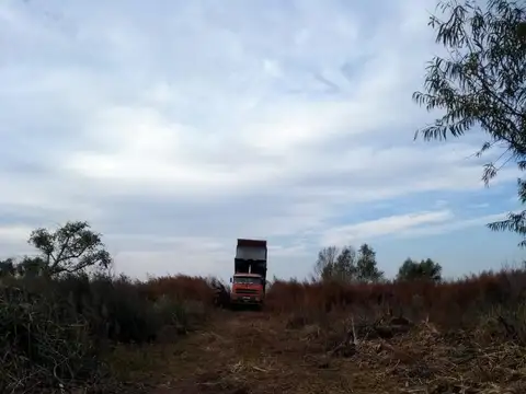 CAMPOEN VENTA APTO PARA DESARROLLO INMOBILIARIO