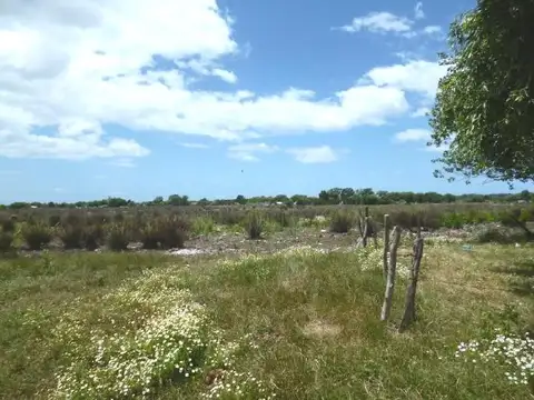 Los Pinos e/ Los Ceibos y Los Ombues