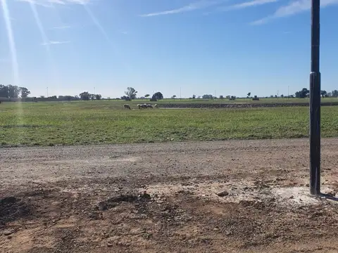 Terreno en Venta de 817,0 m2