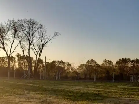 Terreno en Venta de 523,0 m2