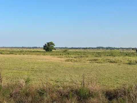 Terreno en Venta de 16028,0 m2