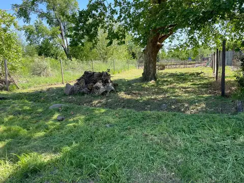 SIN NOMBRE E/ FALUCHO Y SARMIENTO 100