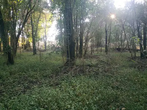 Pasaje Privado Villa Las Selvas