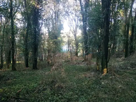 Terreno en Venta de 3150,0 m2