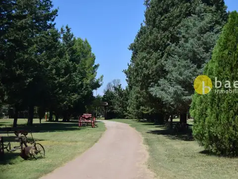 COMPLEJO DE CABAÑAS EN CERRO DE ORO