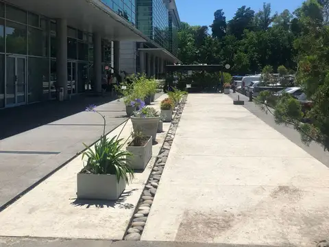 Oficina en Alquiler 20 años