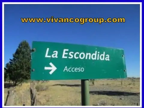 Campo en Venta Forestal