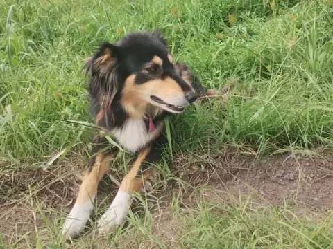 Terreno en Venta de 2200,0 m2