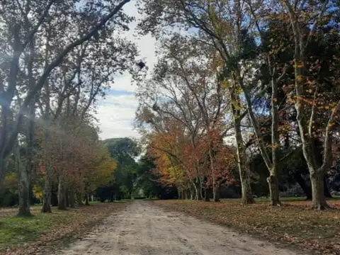 Terreno en Venta de 9033,0 m2