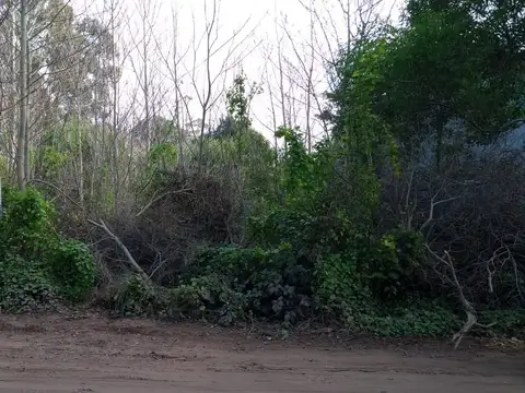 Terreno en Venta en Las Gaviotas, USD 35.000