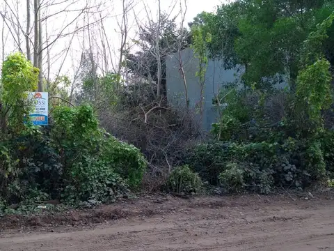 S:Clemente e/33 y 34