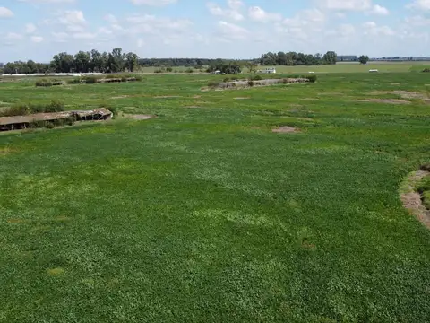 32has en venta en Navarro, a 1500m2 de la ruta 41.