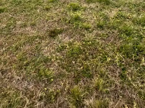 Estancia Smithfield, Ruta Provincial N° 6, Zarate