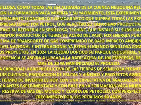 FINCAS PUEBLO VACA MUERTA  5 HECTAREAS EN SENILLOSA