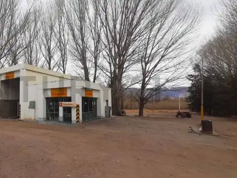 Ruta 7 Km 1145,9 , Piso 0