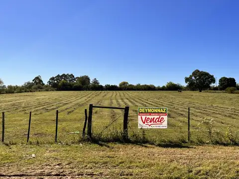 Terreno 2,25 Has zona Termas San José Entre Ríos