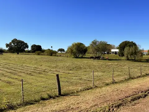 Terreno 2,25 Has zona Termas San José Entre Ríos