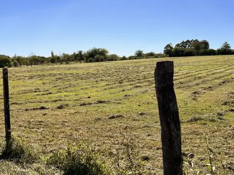 Terreno en Venta de 22500,0 m2