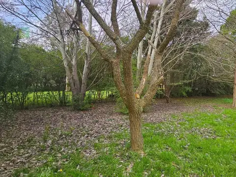 Casa en Venta 8 años