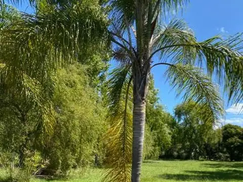 Terreno Lote  en Venta ubicado en Campo Grande, Pilar, G.B.A. Zona Norte